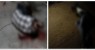 Noite sangrenta: homens são assassinados a tiros em Petrolina no Sertão de PE e Juazeiro-BA