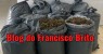 Polícia prende traficante com mais de 112 Kg de maconha em Cabrobó no Sertão de Pernambuco 