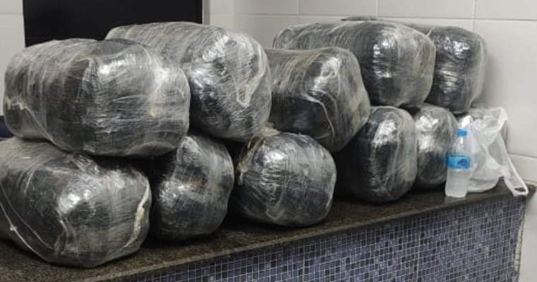 Com ajuda da cadela farejadora "Capitu" polícia prende traficante com 55 Kg de maconha em Pernambuco