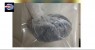 Mais um maconheiro é detido pela ROCAM no Alto da Temperatura em Cabrobó no Sertão de PE