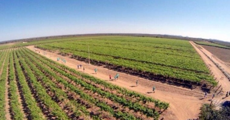 Corrida do Vinho movimentará região no mês de novembro