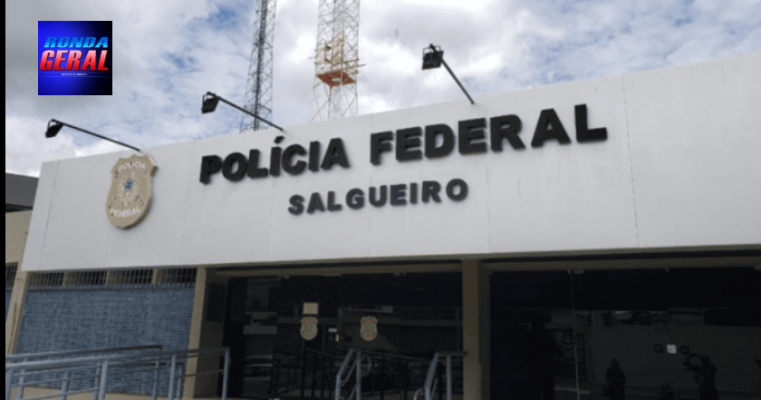 Polícia Federal realiza erradicação de 128 mil pés de maconha em Salgueiro