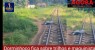 Um homem dormiu sobre a linha do trem e precisou ser acordado pelo maquinista, em Jaboatão dos Guararapes.