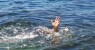 PM E FILHO MORREM AFOGADOS EM PRAIA DE ILHÉUS