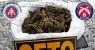 Senhor do Bonfim: Homem é preso após ser flagrado com 200 gramas de maconha