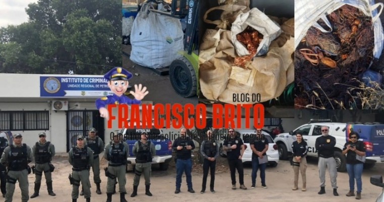 Operação Polícia Militar e Civil contra furto de fios de cobre prende Indivíduos em Petrolina