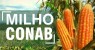 Começa distribuição de milho subsidiado da Conab em Floresta, PE