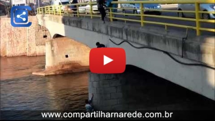 Bons samaritanos salvam cão abandonado debaixo de uma ponte na Sérvia