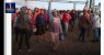 MST volta a invadir propriedade da Embrapa em Petrolina