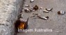 Homem atinge mulher no rosto com garrafa de vidro em Salgueiro-PE. 
