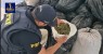 Policiais rodoviários apreendem 170 kg de maconha em Petrolina