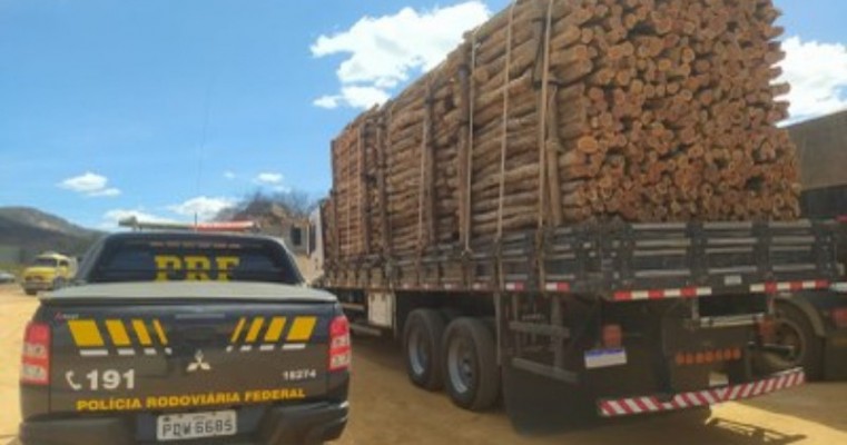 Polícia Rodoviária Federal apreende 67 m³ de madeira irregular em Salgueiro