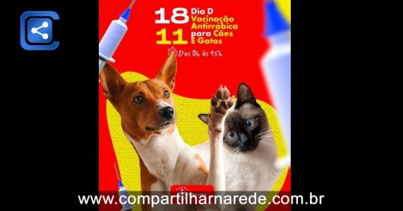 Prefeitura de Salgueiro promove Dia D de Vacinação Antirrábica para Cães e Gatos neste sábado (18)