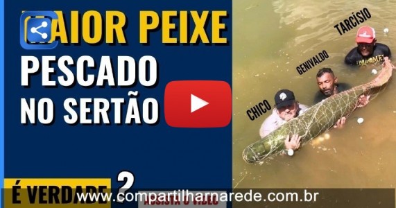 MAIOR PEIXE ENCONTRADO NO SERTÃO