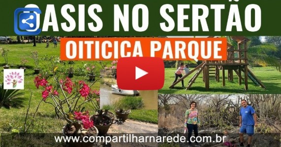 CONHEÇA UMA DAS SETE MARAVILHAS DO SERTÃO PERNAMBUCANO I OITICICA PARQUE