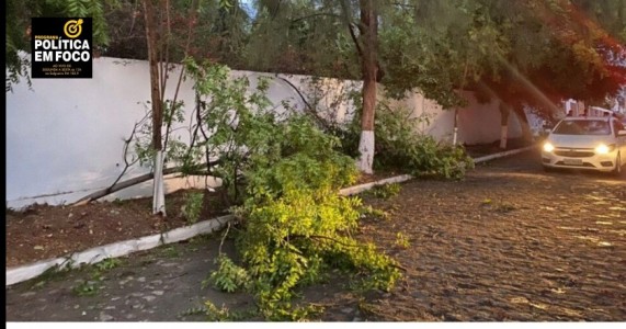 Chuva e forte ventania causam danos em vários bairros de Serra Talhada