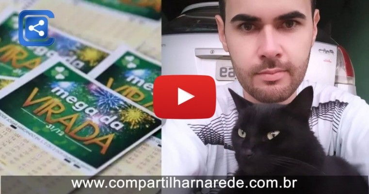 Mister Miau, o gato que acertou 4 dezenas da Mega da Virada, revela seus novos palpites; veja o vídeo