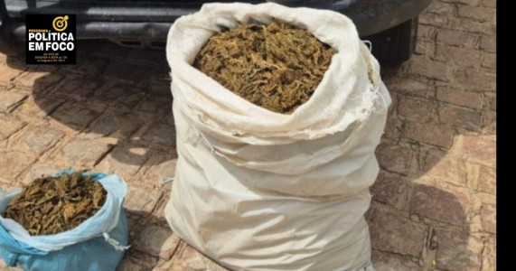 Polícia apreende 16 kg de maconha na Zona Rural de Betânia