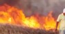 Incêndio de grandes proporções atinge área florestal em Ingazeira