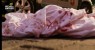 Brasil registra 39,5 mil assassinatos em 2023