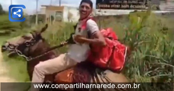 Entregador de delivery trabalha montado em burro após perder moto em blitz; Veja vídeo