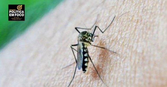 Brasil ultrapassa 600 mortes por dengue e se aproxima de 2 milhões de casos em 2024