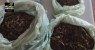 Casal é detido por tráfico de drogas na zona rural de Serrita