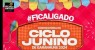 Prefeitura de Garanhuns abre convocatória para artistas interessados em participar do Ciclo Junino 2024