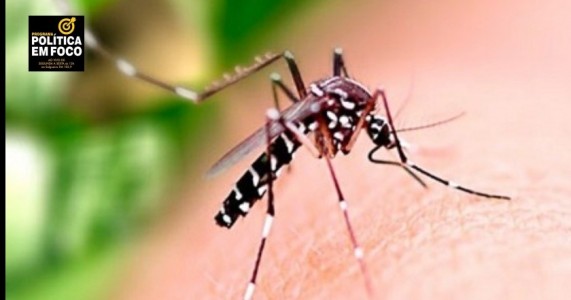 Salgueiro já registrou 437 casos prováveis de dengue e 100 de chikungunya em 2024.