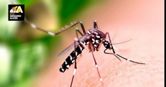Salgueiro já registrou 437 casos prováveis de dengue e 100 de chikungunya em 2024