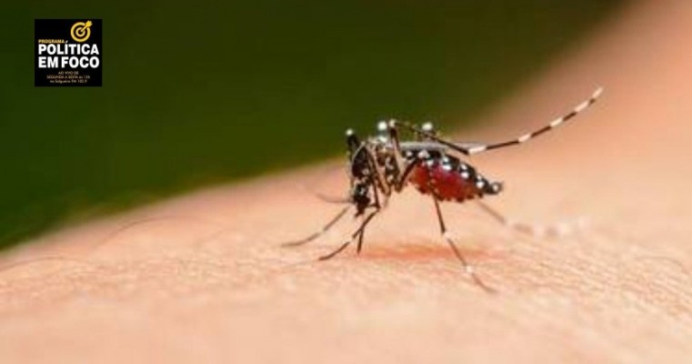 Brasil atinge 1,6 mil mortes confirmadas por dengue