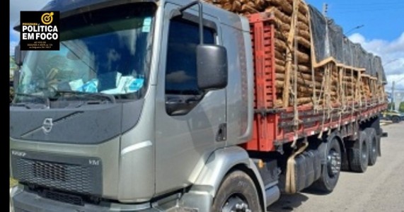 PRF faz mais uma apreensão de madeira ilegal no Sertão pernambucano