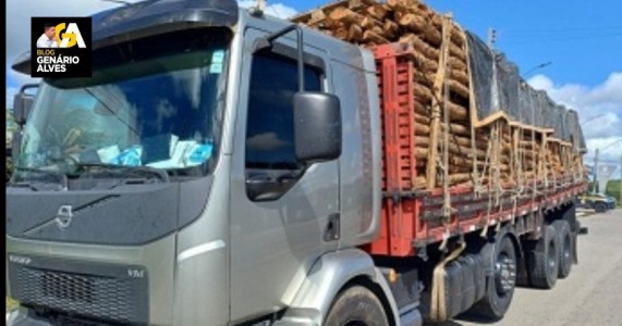 PRF faz mais uma apreensão de madeira ilegal no Sertão pernambucano