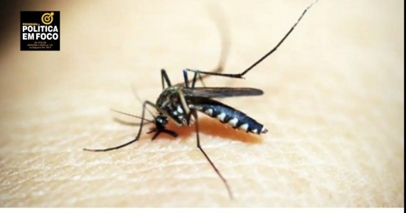 Novo boletim da SES-PE sobre arboviroses aponta 24.978 casos prováveis de dengue