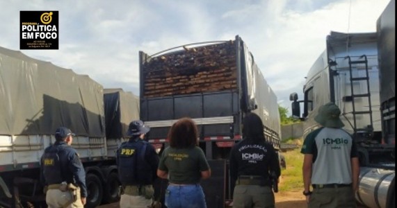 CPRH apreende 21 toneladas de madeira irregular em Serra Talhada