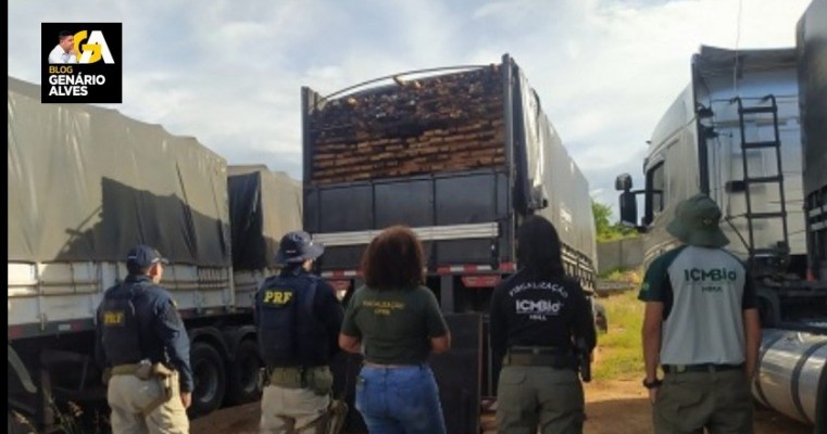 CPRH apreende 21 toneladas de madeira irregular em Serra Talhada