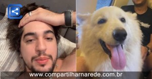 VÍDEO: Nattan "ameaça" dupla sertaneja após sequestro de cachorros; Saiba o que rolou