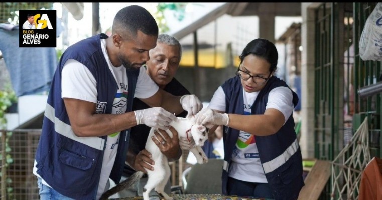  PREFEITURA DO JABOATÃO DISPONIBILIZA SERVIÇO GRATUITO PARA TRATAMENTO DA ESPOROTRICOSE EM GATOS 