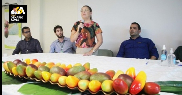 Petrolina: Workshop debate praga da mosca-das-frutas em cultivos de mangas destinadas aos Estados Unidos 