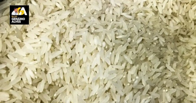 Conab compra 263,3 mil toneladas de arroz importado em leilão