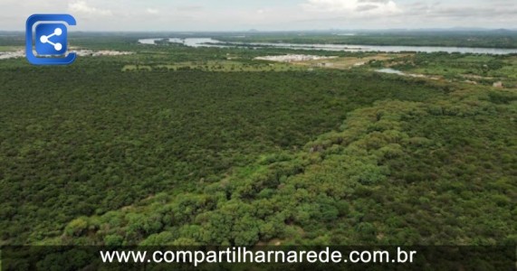 Sudene investe em produção de remédios, cosméticos e alimentos com plantas da Caatinga