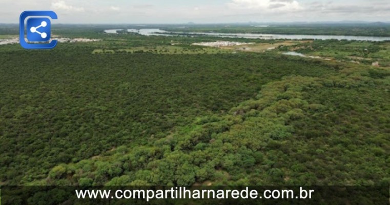 Sudene investe em produção de remédios, cosméticos e alimentos com plantas da Caatinga