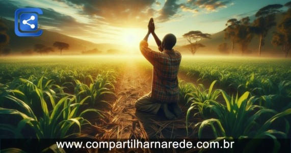 Carta de Deus para os Agricultores: Versículos Sobre a Terra e Colheita, Exemplos de Agricultores na Bíblia, Orações por ...