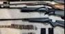 Polícia recupera animais roubados, incinera maconha e apreende armas na zona rural de Ouricuri
