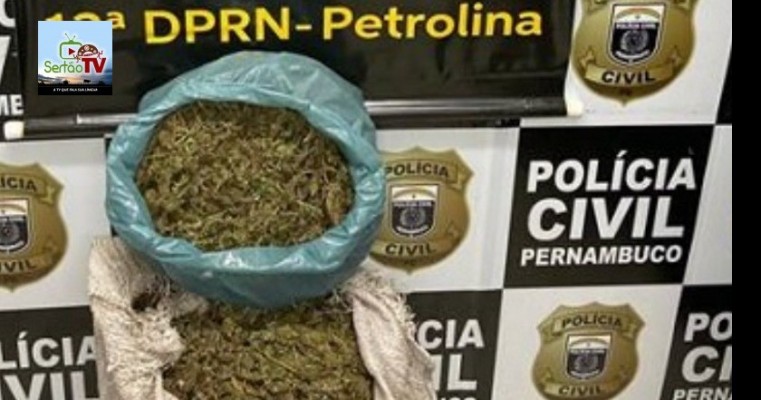 Policiais civis da 12ª Divisão de Narcotráfico apreendem cerca de 10 kg de maconha em Petrolina