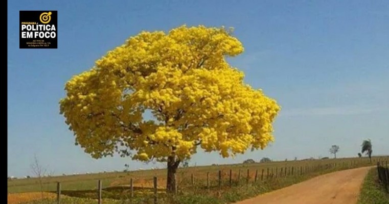  Família- lugar de comunhão e amor.