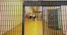Reeducandos liberados para o regime aberto terão até 30 dias para se apresentar ao Patronato Penitenciário