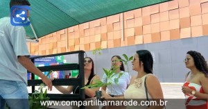 Prefeitura distribui cerca de 1.660 mudas em ações do Carro da Planta em Petrolina