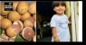 Bebê morre após se engasgar com caroço de pitomba