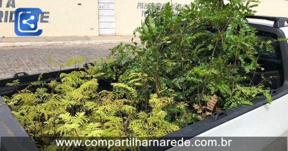 Comunidade de Rajada será contemplada com o Carro da Planta nessa quarta-feira